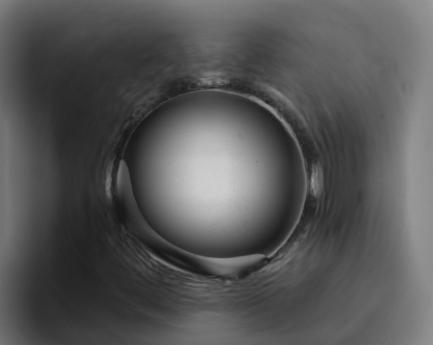 X0000094921444200712061059