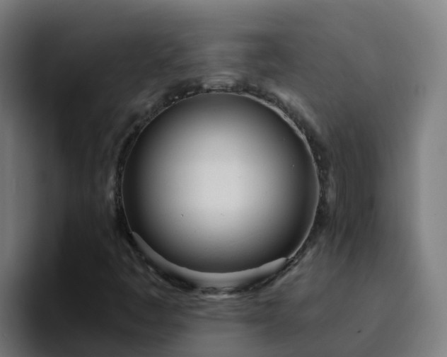 X0000094921445200712061059