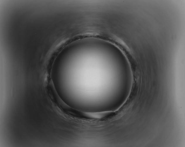 X0000094921448200712061059