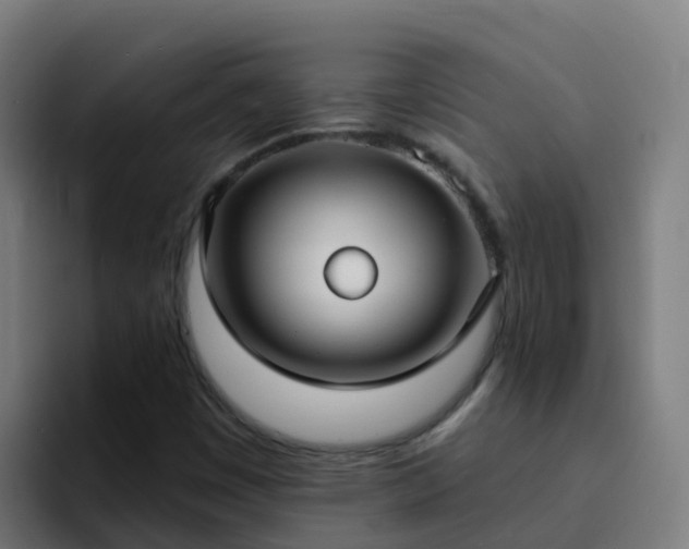 X0000094921449200712061059
