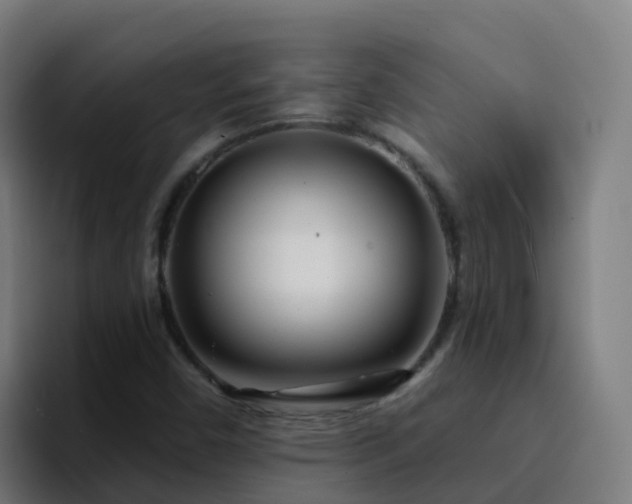 X0000094921450200712061059
