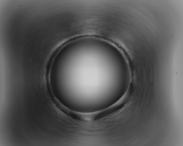 X0000094921452200712061059