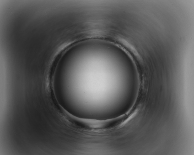 X0000094921453200712061059