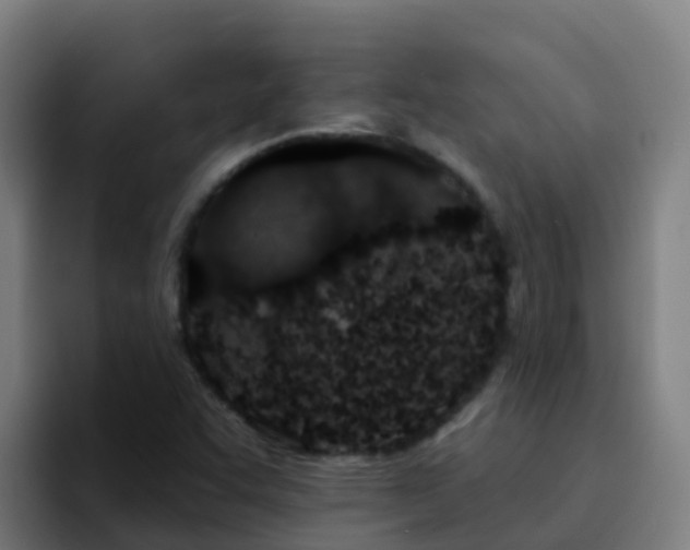 X0000094921455200712061059
