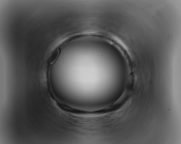 X0000094921456200712061059