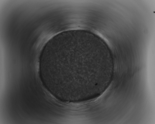 X0000094921459200712061059