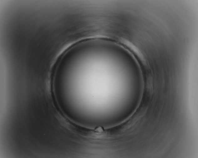 X0000094921460200712061059
