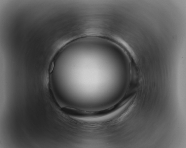 X0000094921461200712061059