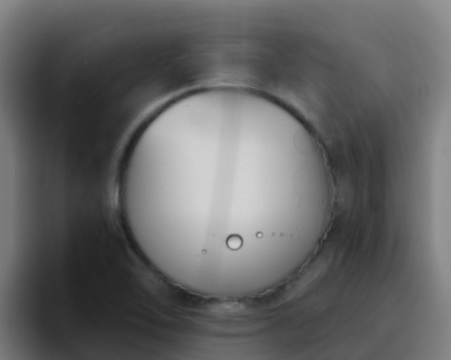 X0000094921462200712061059