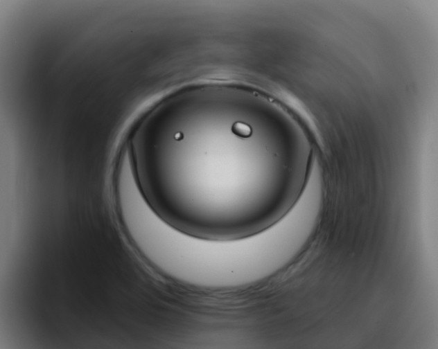 X0000094921464200712061059
