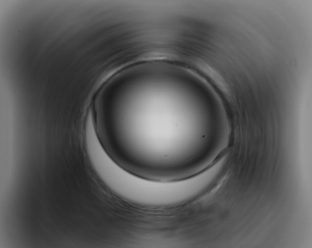 X0000094921465200712061059