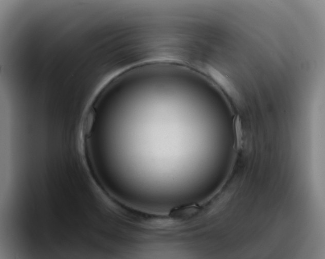 X0000094921468200712061059