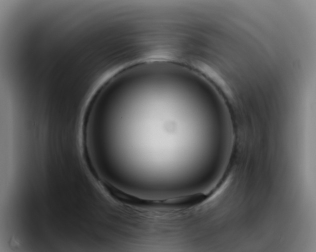 X0000094921469200712061059