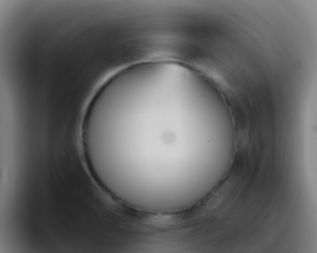 X0000094921470200712061059