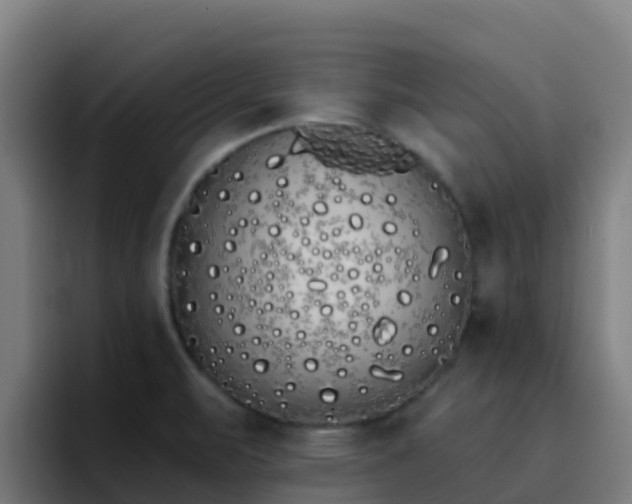X0000094921471200712061059