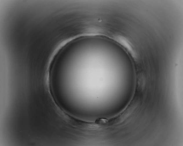 X0000094921472200712061059