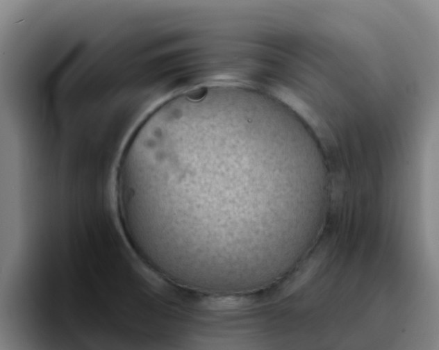 X0000094921474200712061059