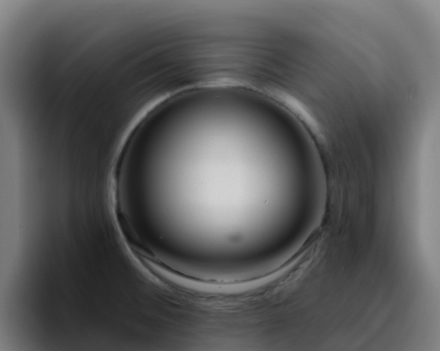 X0000094921476200712061059