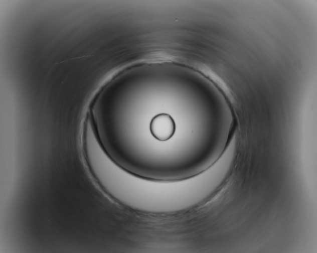 X0000094921477200712061059