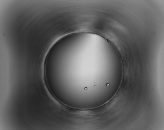 X0000094921479200712061059