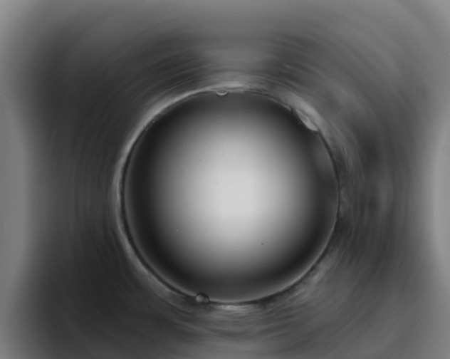 X0000094921483200712061059