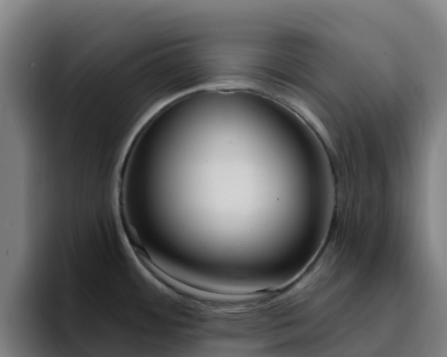 X0000094921484200712061059
