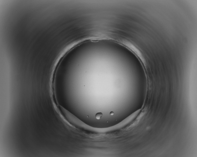 X0000094921485200712061059