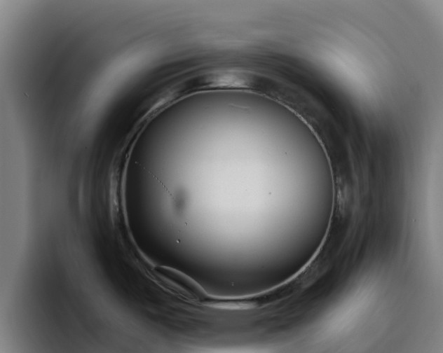 X0000094921487200712061059