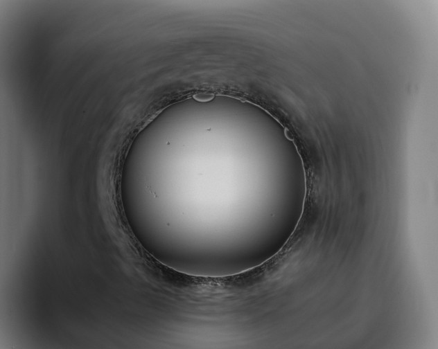 X0000094921489200712061058