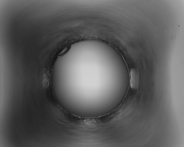 X0000094921491200712061058
