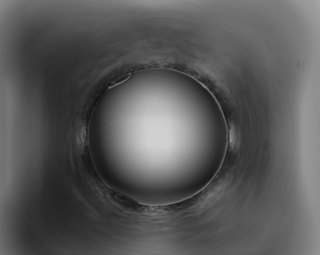 X0000094921492200712061058