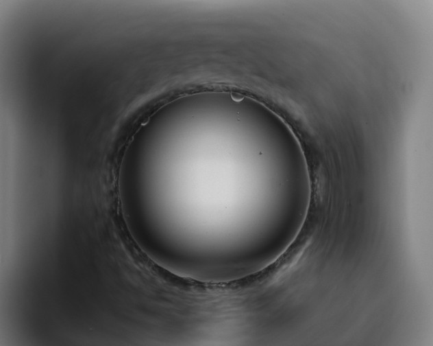 X0000094921494200712061058