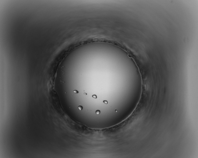 X0000094921495200712061058