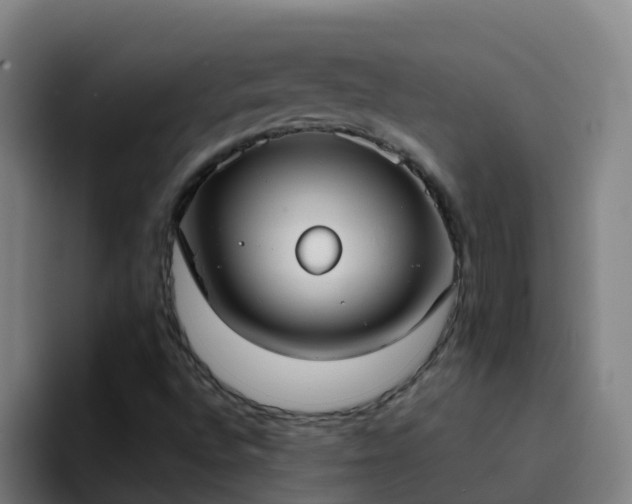 X0000094921496200712061058
