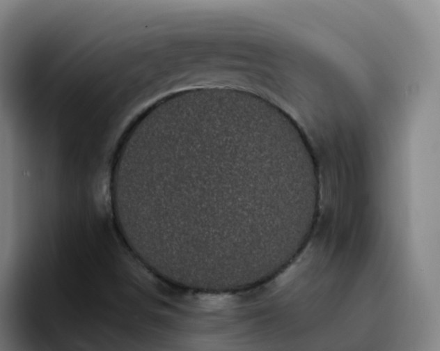 X0000094921498200712061058