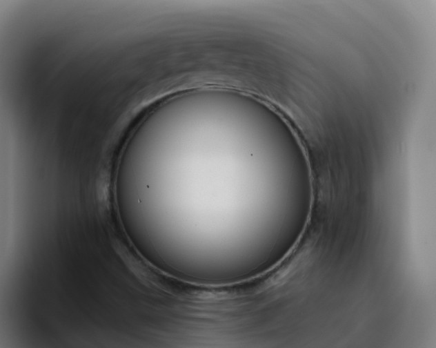 X0000094921499200712061058