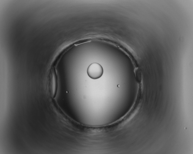 X0000094921501200712061058