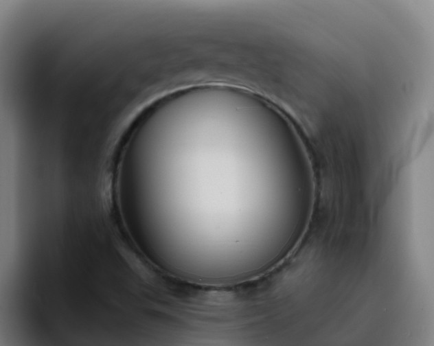 X0000094921503200712061058