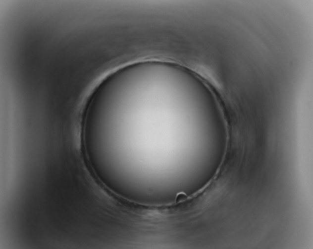 X0000094921504200712061058