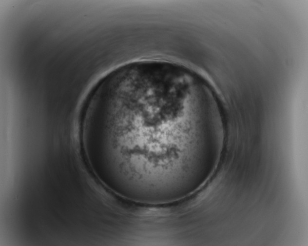 X0000094921506200712061058