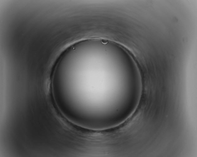 X0000094921507200712061058