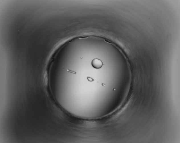X0000094921509200712061058