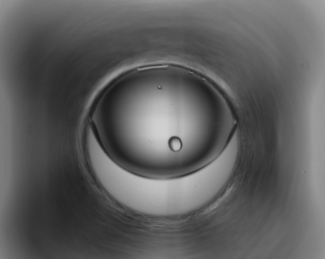 X0000094921510200712061058