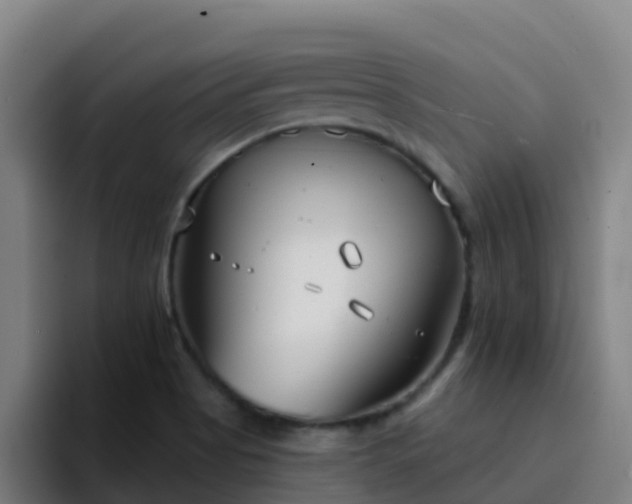 X0000094921513200712061058