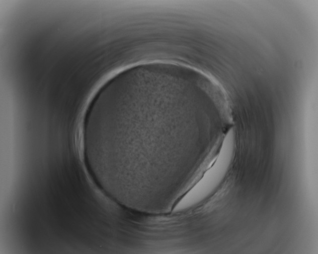 X0000094921515200712061058