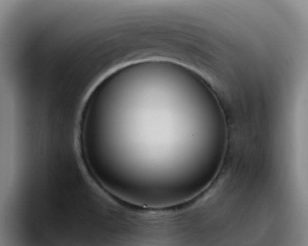 X0000094921518200712061058