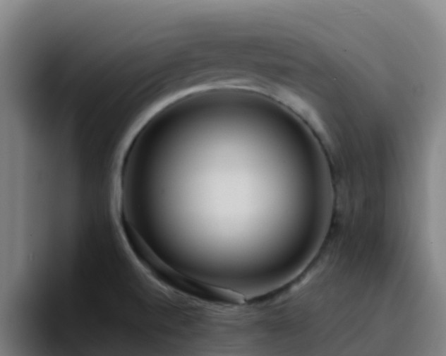 X0000094921520200712061059