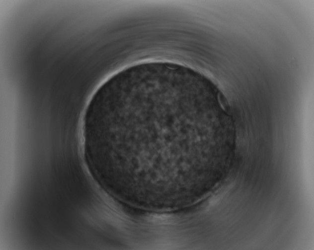 X0000094921522200712061059