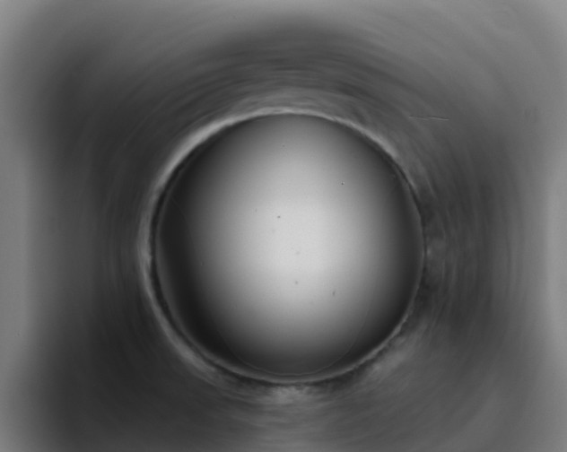 X0000094921523200712061059