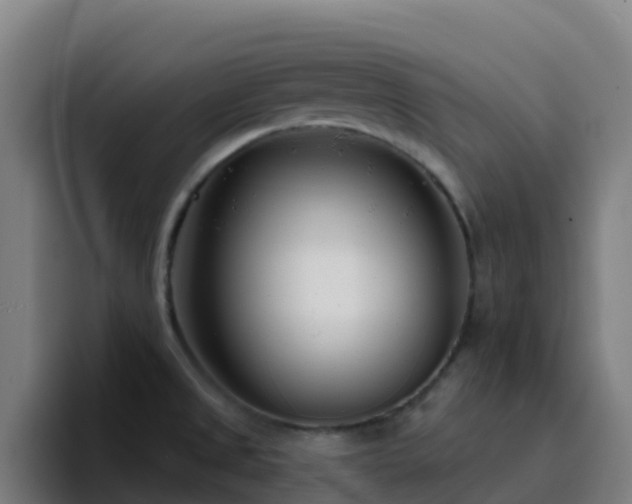 X0000094921525200712061059